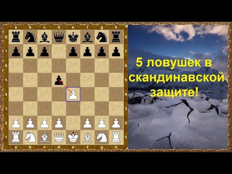Видео: Шахматы дебюты. Скандинавская защита. 5 ловушек!