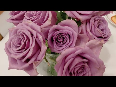 Видео: ОБЗОР товаров с TCHIBO, покупки для дома Temu🤗