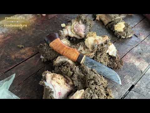 Видео: Тест ножа  Грибник из стали 9ХС. Итоги конкурса реза на требухе. Выбрал лучший нож.