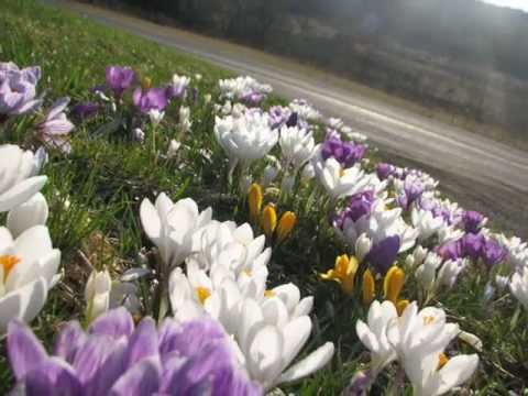 Видео: Баба Марта сърдита