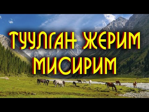 Видео: ТУУЛГАН ЖЕРИМ - МИСИРИМ                                                 "Көлдүк" айылы, Өзгөн району