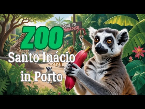Видео: Зоопарк в Порто!