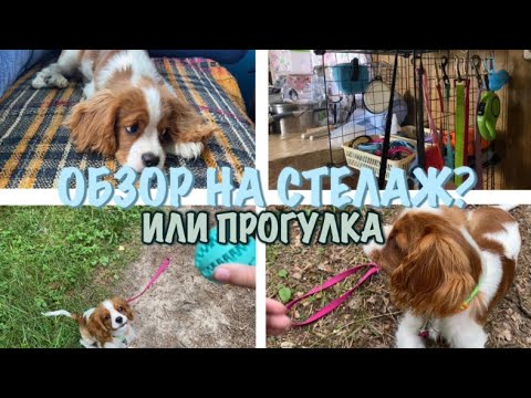 Видео: ✩обзор||прогулка✩