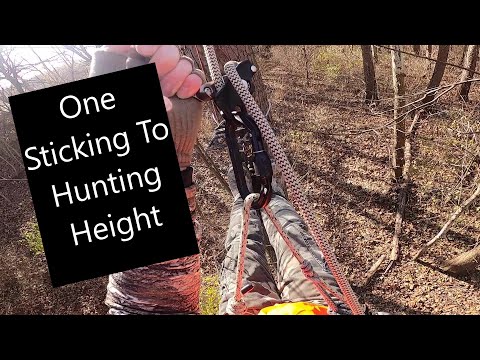 Видео: Как придерживаться высоты охоты
