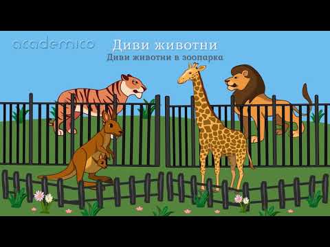 Видео: Животните около нас - Околен свят 2 клас | academico