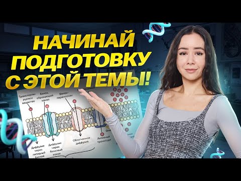 Видео: Химия клетки | Все, что нужно знать для ЕГЭ по биологии | Умскул