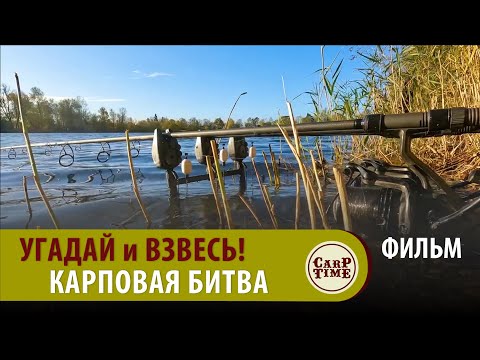 Видео: 👍 Карпфишинг БИТВА! Марк Питчерс с КОРАБЛИКОМ VS Хари Чэрингтон КЛАССИК ловли карпа на ЧЕРВЯ! ФИЛЬМ