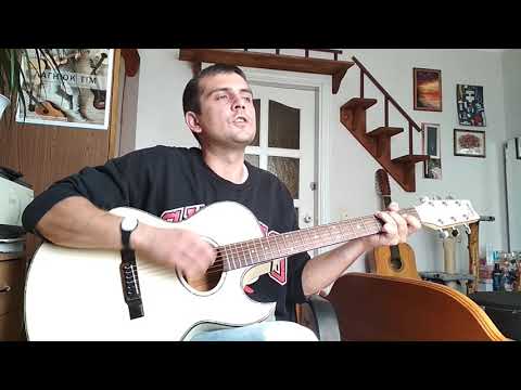 Видео: КИНО Дальше действовать будем мы cover Washburn ea40