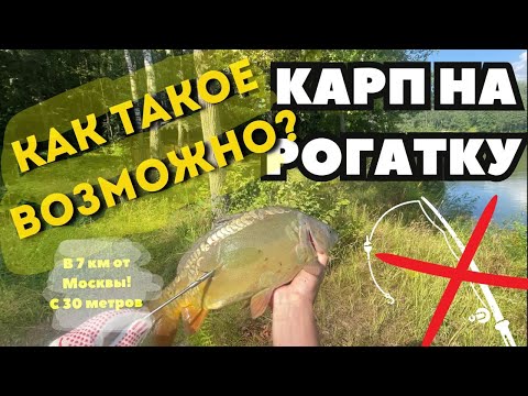 Видео: КАК ТАКОЕ ВОЗМОЖНО??? НА РОГАТКУ с 30м?!