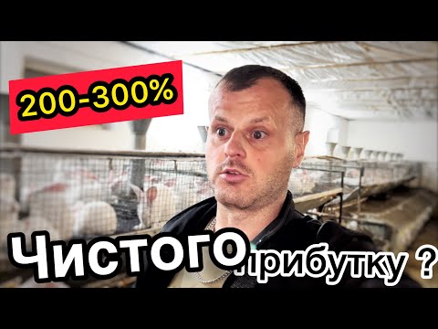 Видео: Як заробити на кролях 200-300%