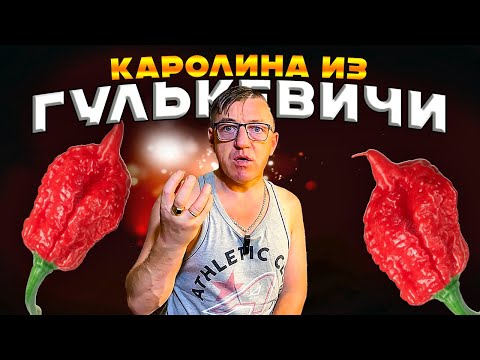 Видео: Огенный соус от подписчика HOT Lazarev Крафтовый острый соус Каролина рипер