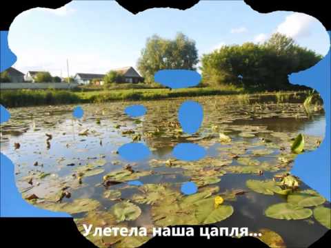 Видео: "Природные памятники села Подгородняя Покровка"