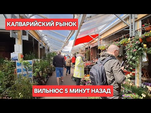 Видео: [Жизнь в Литве] Что выбрать и купить на КАЛВАРИЙСКОМ РЫНКЕ