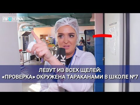 Видео: Красноярская школа №7 / «Проверка»