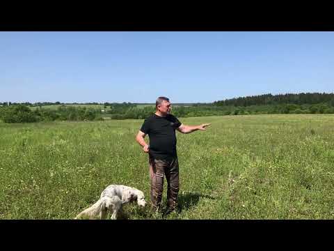 Видео: Грэй в поле и немного апортировки