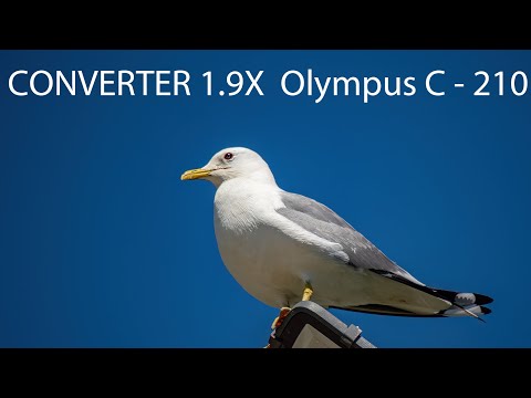 Видео: CONVERTER 1.9X  Olympus C - 210  Бегом Брать !!!