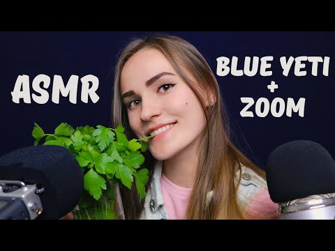 Видео: АСМР 🎧 Триггеры с Ушка на Ушко | Blue Yeti + Zoom H5
