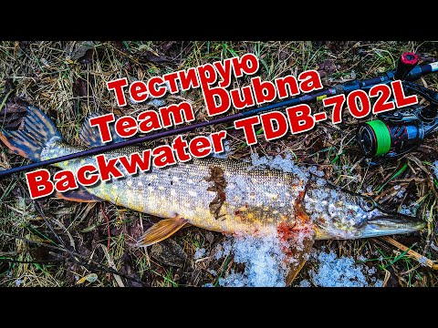 Видео: Тестирую Team Dubna Backwater TDB-702L | Ловля щуки ранней весной | Рыбалка в метель