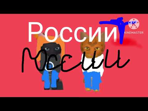Видео: сеня кот. встретил Клёпу, и все котики танцуют. Песню плаки, плаки. 2024 года. 2 мая