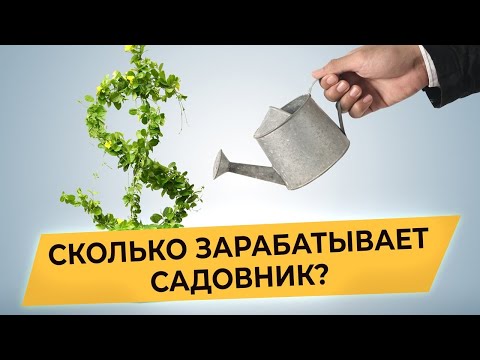 Видео: Сколько Зарабатывает Садовник? ЗАРАБОТОК САДОВНИКА Сколько стоит работа садовника?