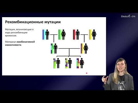 Видео: Шурупова Яна Андреевна - Теория эволюции - 4. Изменчивость