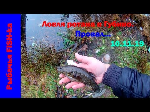 Видео: Рыбалка в округе Орехово-Зуево стала провалом.