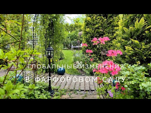 Видео: Весна перемен в Фарфоровом саду. О пересадке взрослых роз без потерь