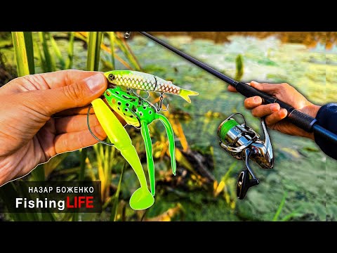 Видео: Як Ловити ЩУКУ В Густій Траві - Рибалка На Щуку