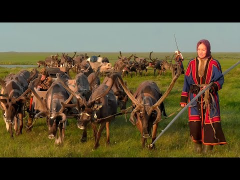 Видео: НЕДАРМА - путь, дорога семьи Худи. Полярные истории | Полярные истории