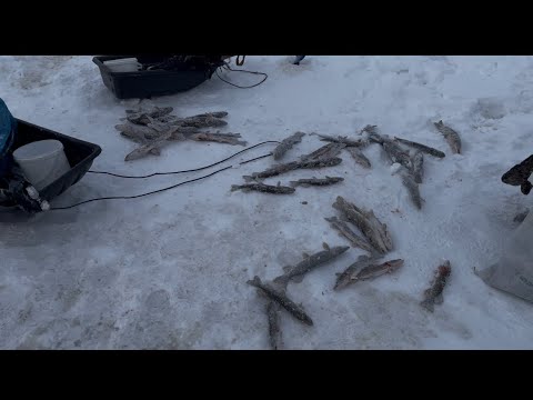 Видео: РЫБАЛКА НА ЖЕРЛИЦЫ В ГЛУХОЗИМЬЕ! РЫБАЛКА С НОЧЕВКОЙ.2 серия.