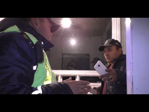 Видео: Депутаттарга кайрылган айдоочу. NewTV Патруль №79.