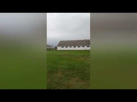 Видео: Коптильня  от фирмы Древос. Первые и последние впечатления.