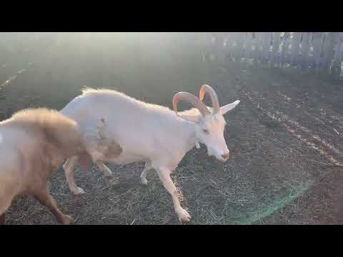 Видео: Лед тронулся😁