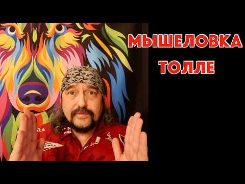 Видео: Как остановить поток мыслей? "Мышеловка Толле". Остановка внутреннего диалога.
