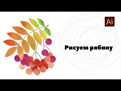 Видео: Рисуем рябину и используем одну очень классную функцию из палитры "Обработка контуров"