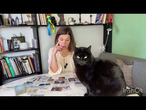 Видео: 🔥 ЧТО ОЖИДАТЬ ОТ ЧЕЛОВЕКА И ОТНОШЕНИЙ С НИМ?