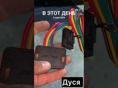 Видео: #дусяшым 