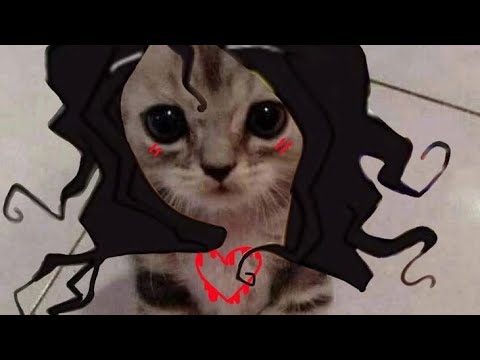 Видео: Джон Доу плейлист // John Doe playlist