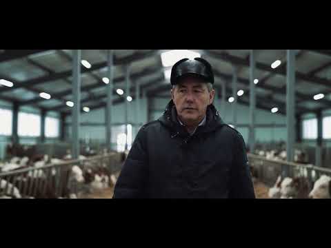 Видео: "МАМБЕТОВ И К" 2023