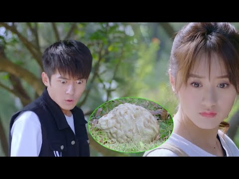 Видео: Молодая пара вместе собирала фрукты, но разворошила осиное гнездо