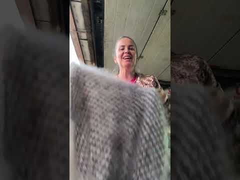 Видео: 18 мая 2024 г.