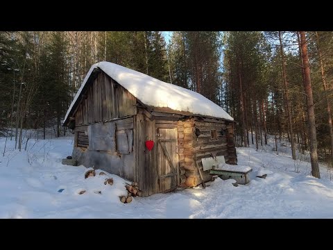 Видео: С ЛЕОНТЬЕВИЧЕМ в ТАЙГУ. С нами ЖОРИК, УМКА, АНДРЕЙ ЧЁРНАЯ РУКА и дядя ВАНЯ. Часть вторая.