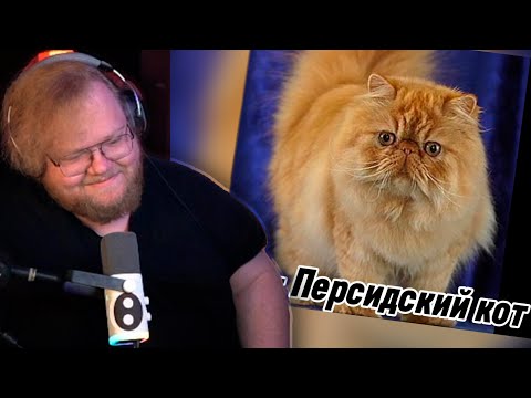 Видео: T2X2 СМОТРИТ КАКОЙ ОН КОТ || На каких кошек (пароды кошек) похожи стримеры твича