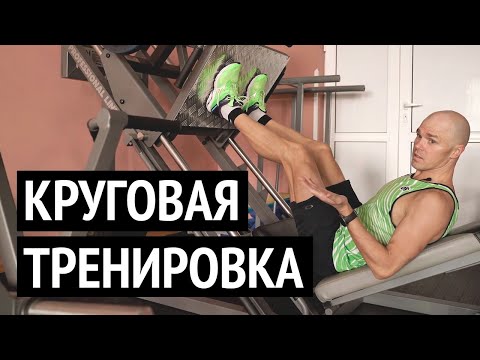 Видео: Круговая тренировка в зале для триатлетов