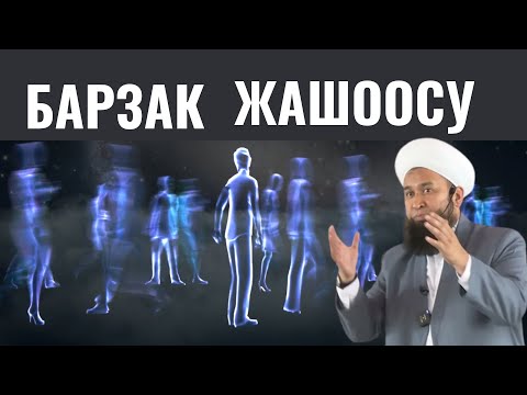 Видео: БАРЗАК ЖАШООСУ