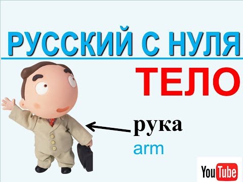 Видео: Русский с нуля. Части тела на русском для иностранцев. ТЕЛО. russian language lessons