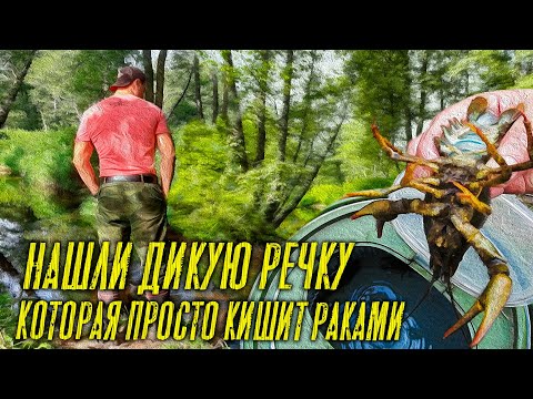 Видео: НАШЛИ ДИКУЮ РЕЧКУ ПОЛНУЮ РАКОВ!!ПОПАЛИ НА ЖОР РАКА! КИТАЙСКИЕ РАКОЛОВКИ-ЗОНТИКИ! ВЕДРО РАКОВ ЗА ЧАС!