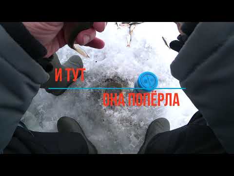 Видео: И тут она попёрла о.Парное сорожка на 10 метрах 21.03.2021