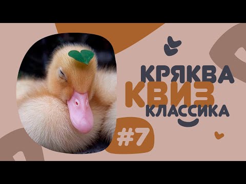 Видео: КРЯКВА КВИЗ КЛАССИКА #7 — Викторина на логику и эрудицию