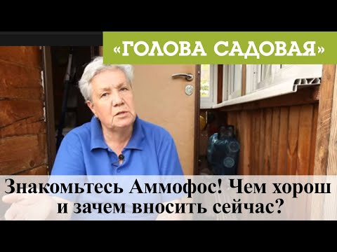 Видео: Голова садовая - Знакомьтесь Аммофос! Чем хорош и зачем вносить сейчас?